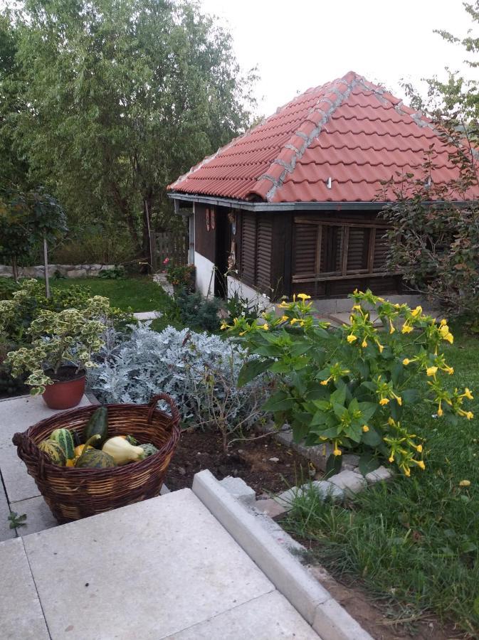Apartman Civovic Rudnik Kültér fotó