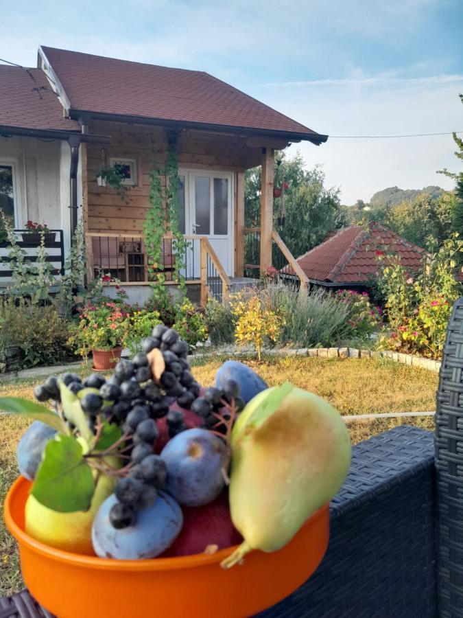 Apartman Civovic Rudnik Kültér fotó